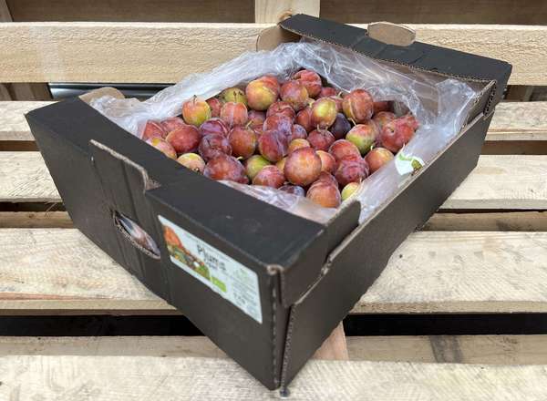 Plums - British Organic Red Opal