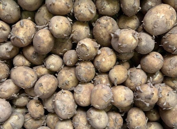 New potatoes (500g)
