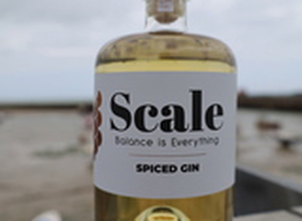 Scale Spiced Gin