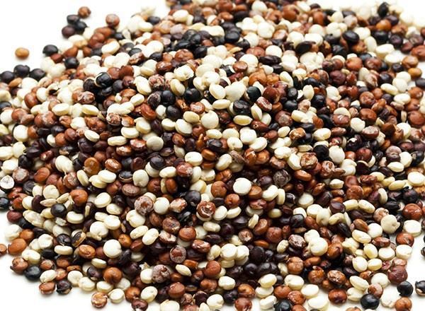 Quinoa Organic: Tricolour - HG