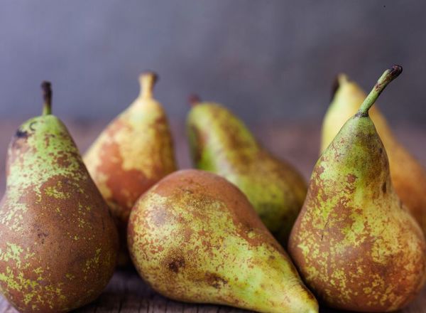 Pear Conference