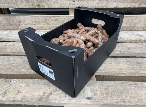turmeric - 100g