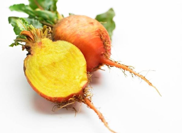 Beetroot: Golden
