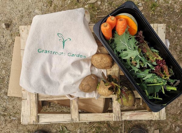 Small veg bag