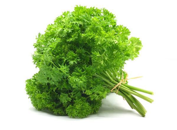 Parsley Curly