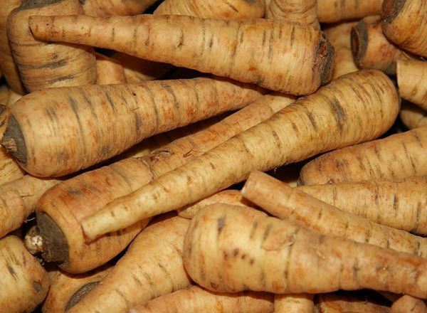 Parsnip