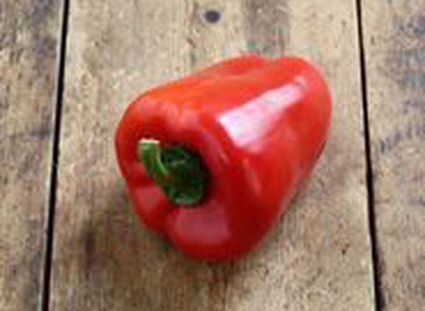 Peppers - Organic Red (2 - 3 units)