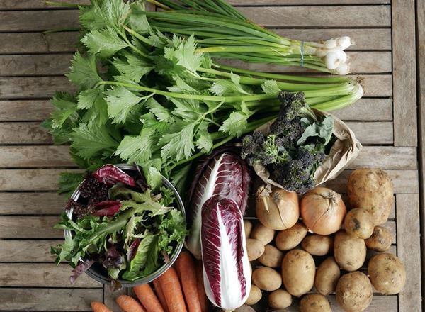 Large Veg Box