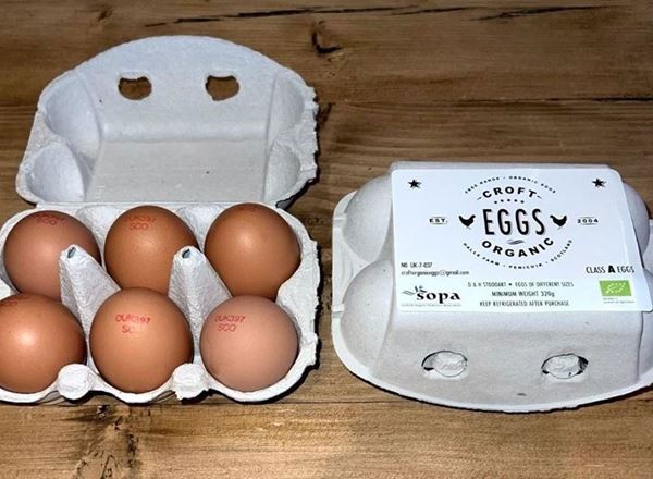 Organic Eggs - Half Dozen