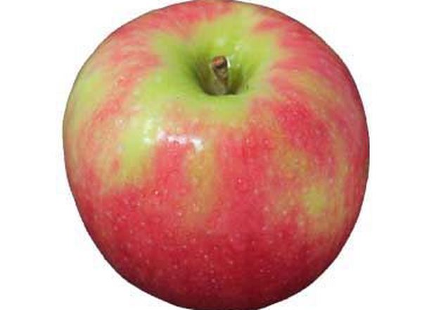 Apple: Pink Lady