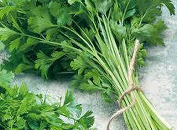 Parsley (1 Bunch = about 4oz)