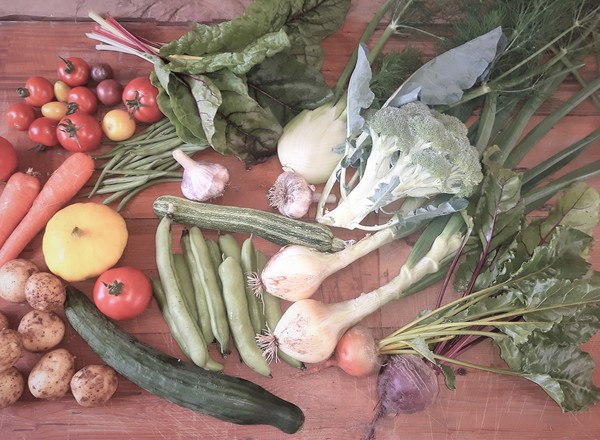 Regular organic veg box