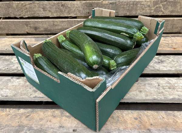 Organic Courgette