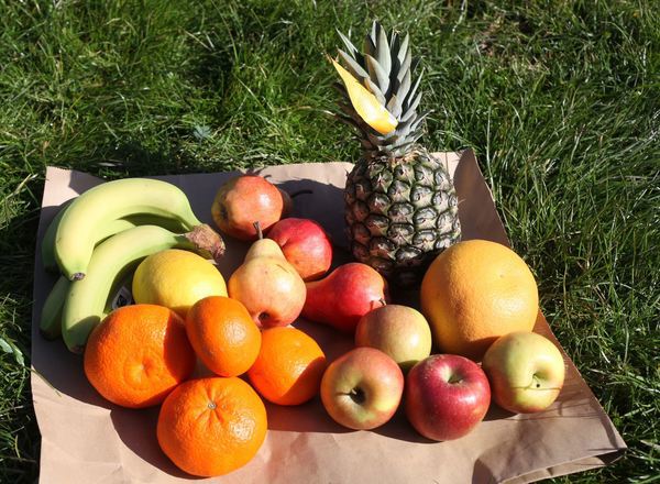 Christmas Fruit bag Organic