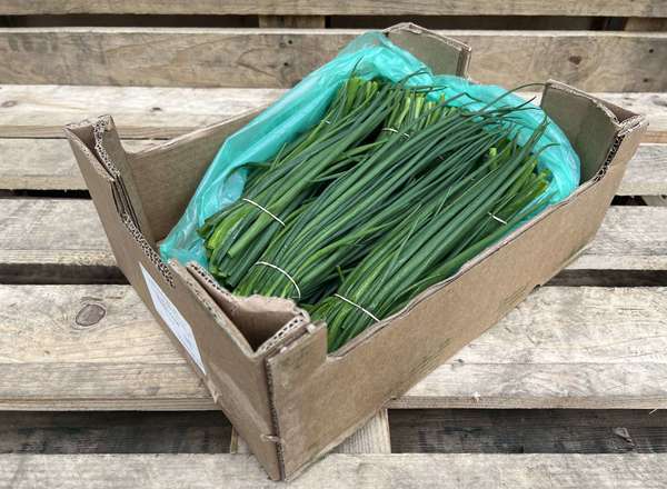 Organic Chives Loose