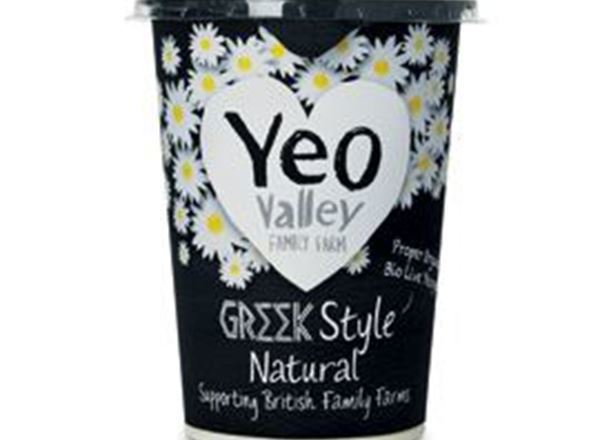 Yogurt Greek Style Yeo - Organic