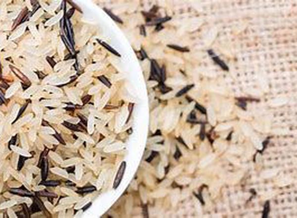 Mixed Wild Rice - organic