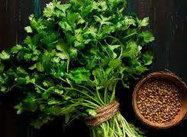 Coriander (1 Bunch = about 2oz)