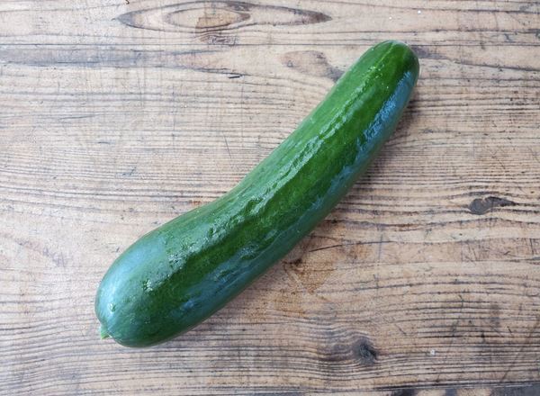 Cucumber