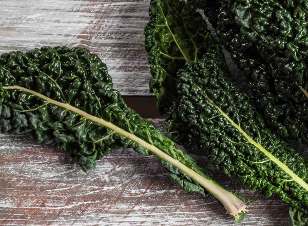 Cavolo Nero