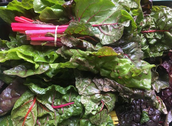 Chard