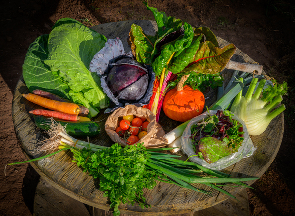 Large Veg Box
