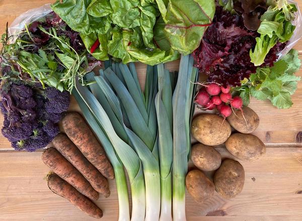 Seasonal Veg Bag LARGE
