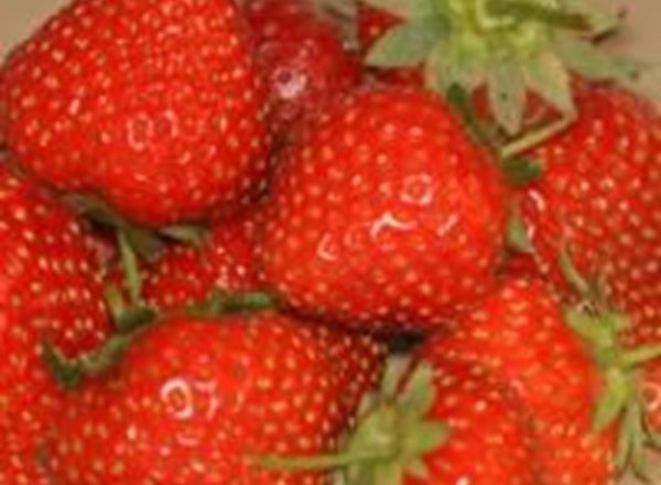 Strawberries - 200g