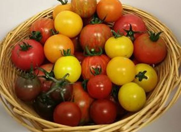 Tomato - Heritage - approx. 250g Organic