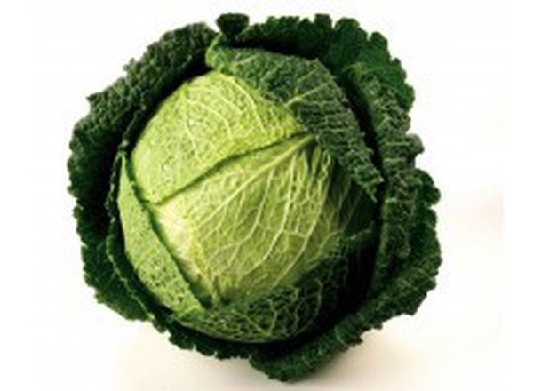 Cabbage (Green Staunton)
