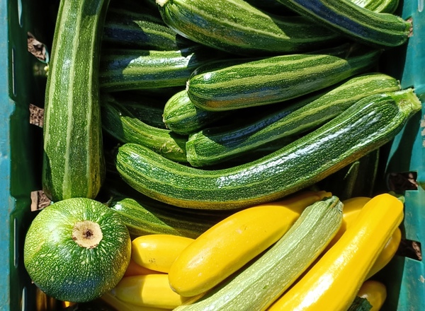 Courgettes