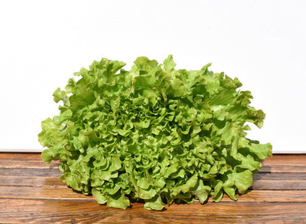 Organic Lettuce Large