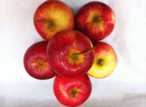 Organic Apples (1kg)