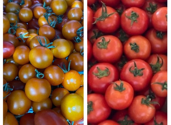 Cherry & Salad Tomatoes