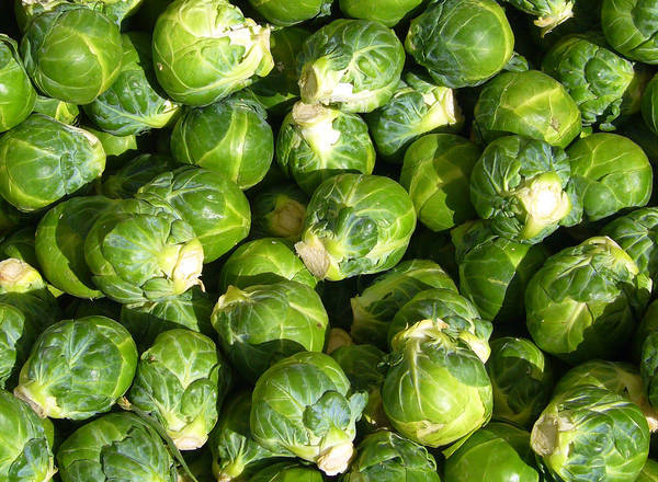 Organic Brussels Sprouts