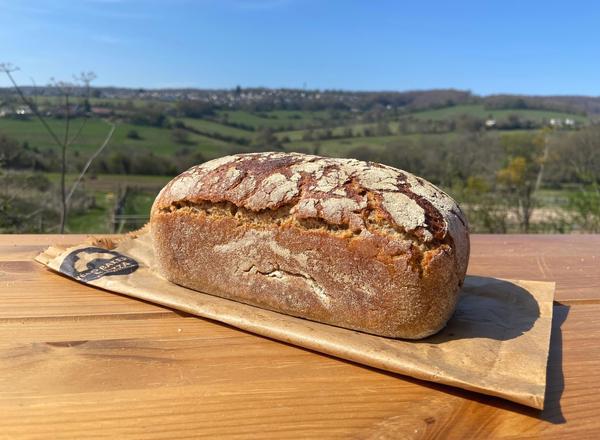 Rye sourdough