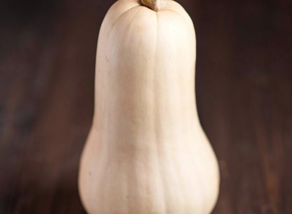 Butternut Squash