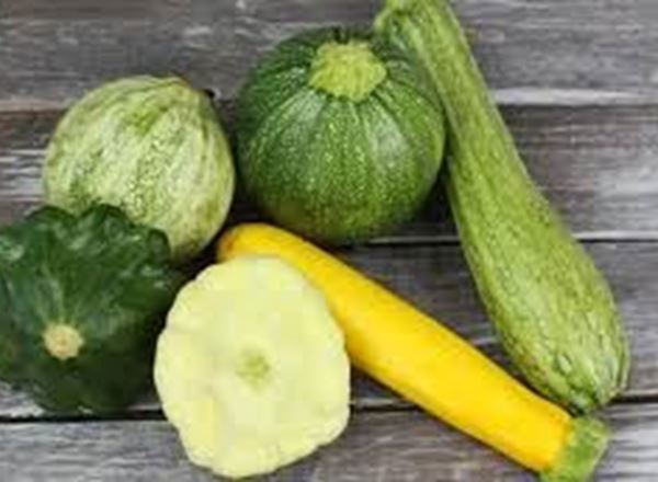 Courgette, mixed - approx. 500g (own grown)