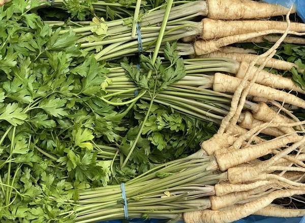 Parsley Root - Bunched (Suffolk, UK)