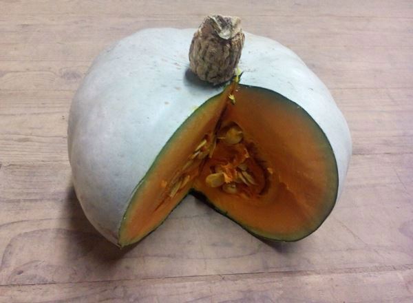 Squash- Crown Prince