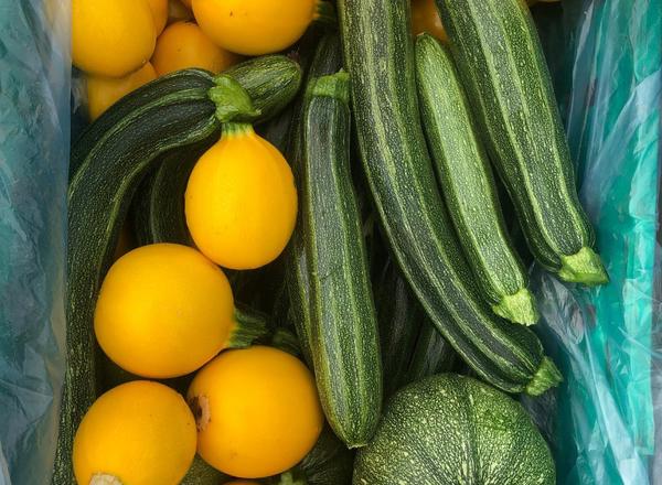 Courgettes - Organic British mixed