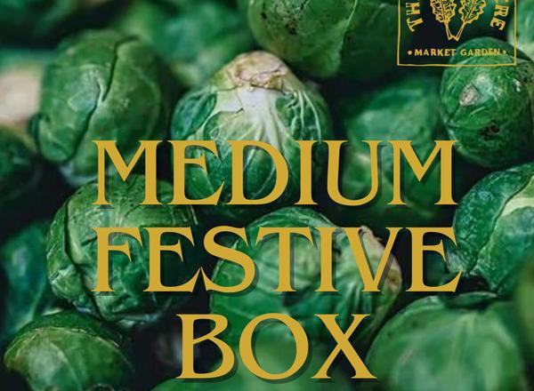 Medium Festive Box
