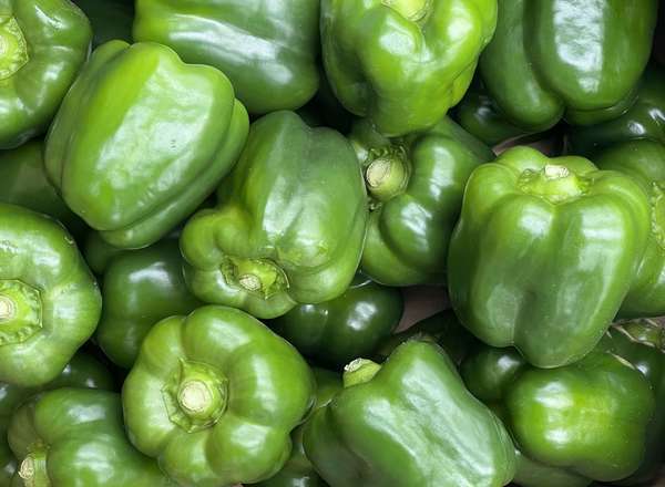 Organic Green Peppers (500g)