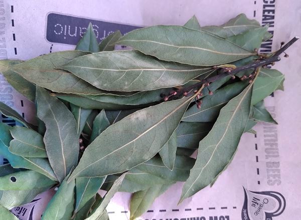 Dried Bay Leaves (10g)