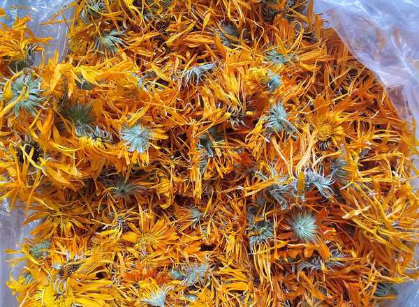 Lemon Verbena Herbal Tea