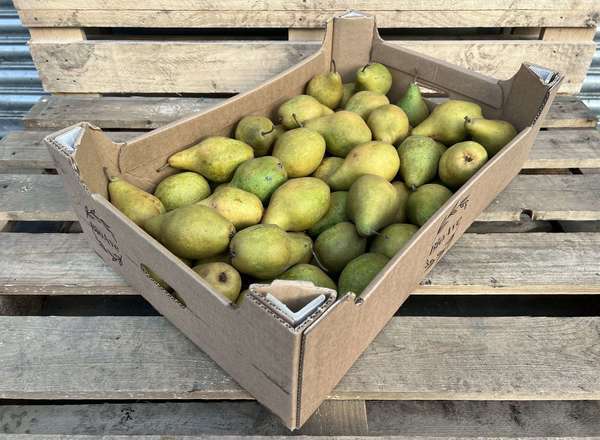 Organic Pear Xenia