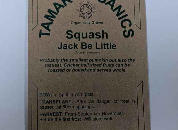 (Seeds) Squash - Jack Be Little