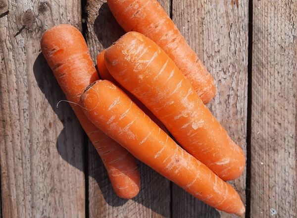 Carrots, Rainbow 🇬🇧