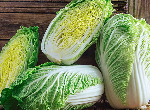 Cabbage: Chinese