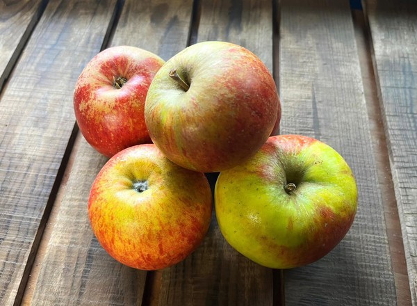 UK Grown Organic Apples (1kg)